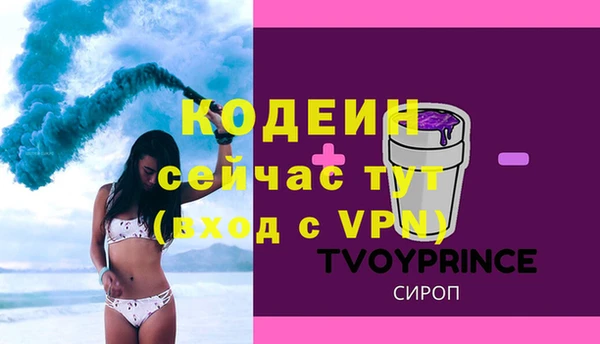 индика Касимов