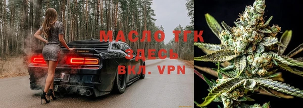 индика Касимов