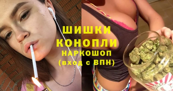 бошки Весьегонск