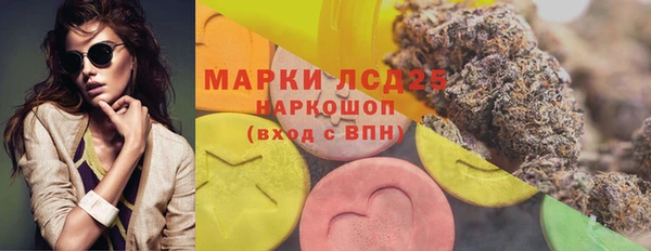 ПСИЛОЦИБИНОВЫЕ ГРИБЫ Карпинск