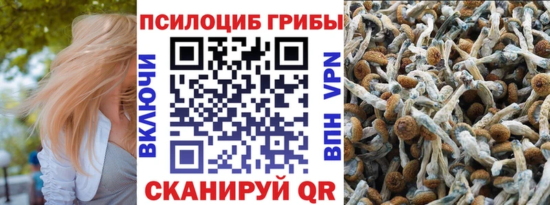 продажа наркотиков  Коммунар  Псилоцибиновые грибы прущие грибы 