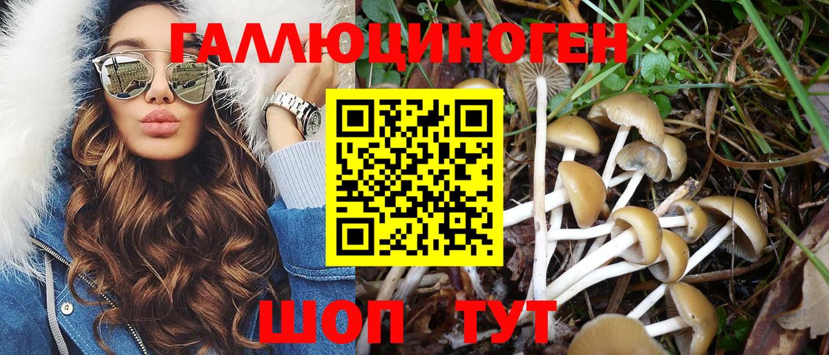 Галлюциногенные грибы Magic Shrooms  Вход с VPN  Коммунар 