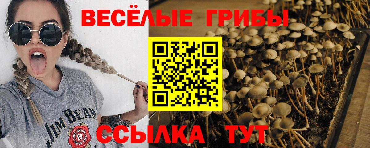 Псилоцибиновые грибы мухоморы Коммунар